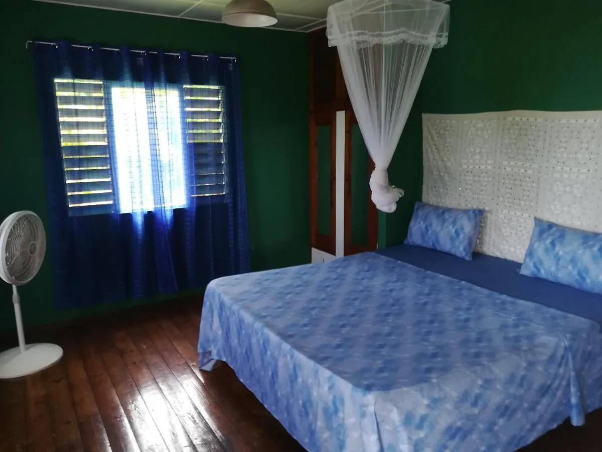 Toga Guest House Port Antonio Couette-café