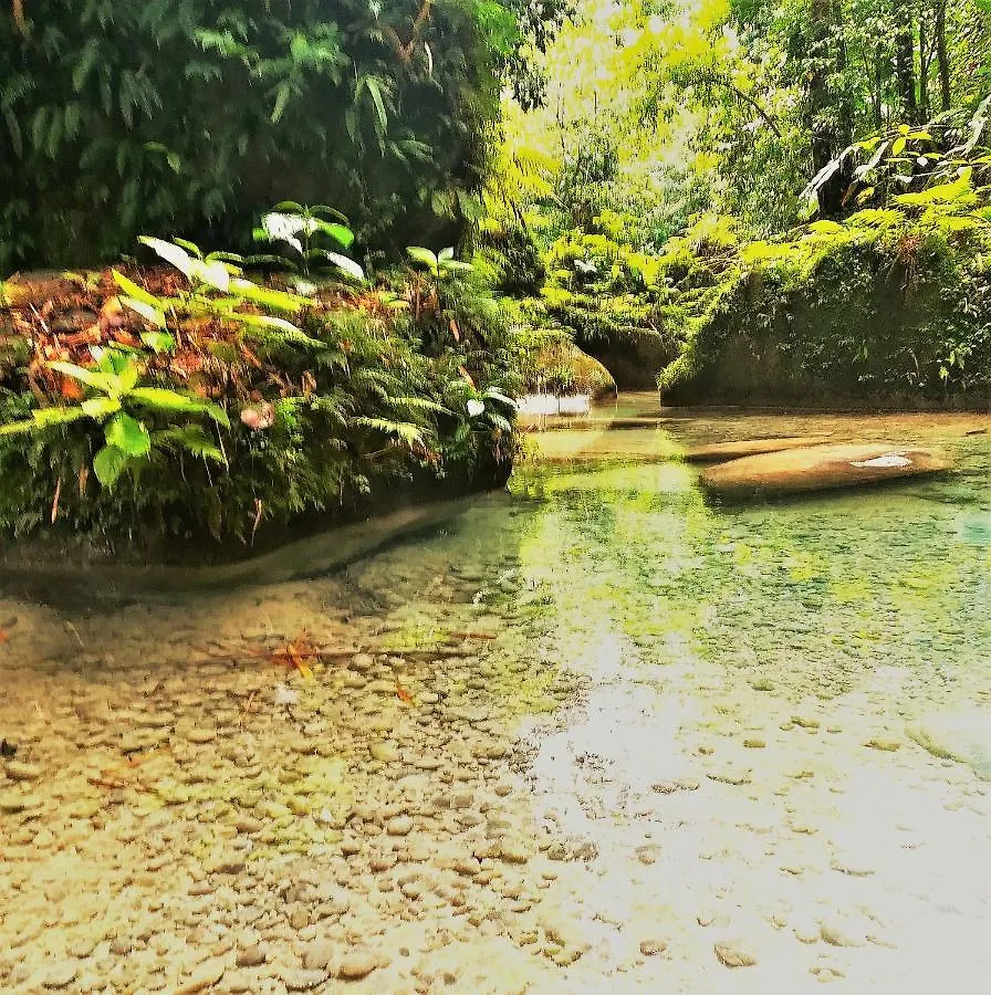 Toga Guest House Port Antonio 0*,