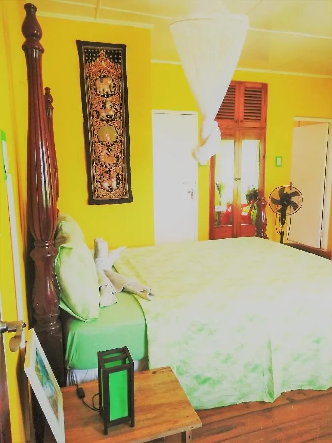 Panzió Toga Guest House Port Antonio Jamaica