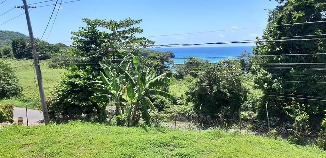 Panzió Toga Guest House Port Antonio